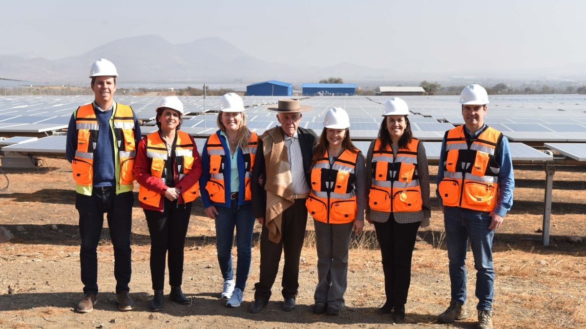 A14c441b 3365 519e c2df 6824a487fe77