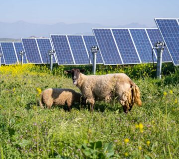 WhatsApp Image 2023 12 19 at 15 11 56 360x320