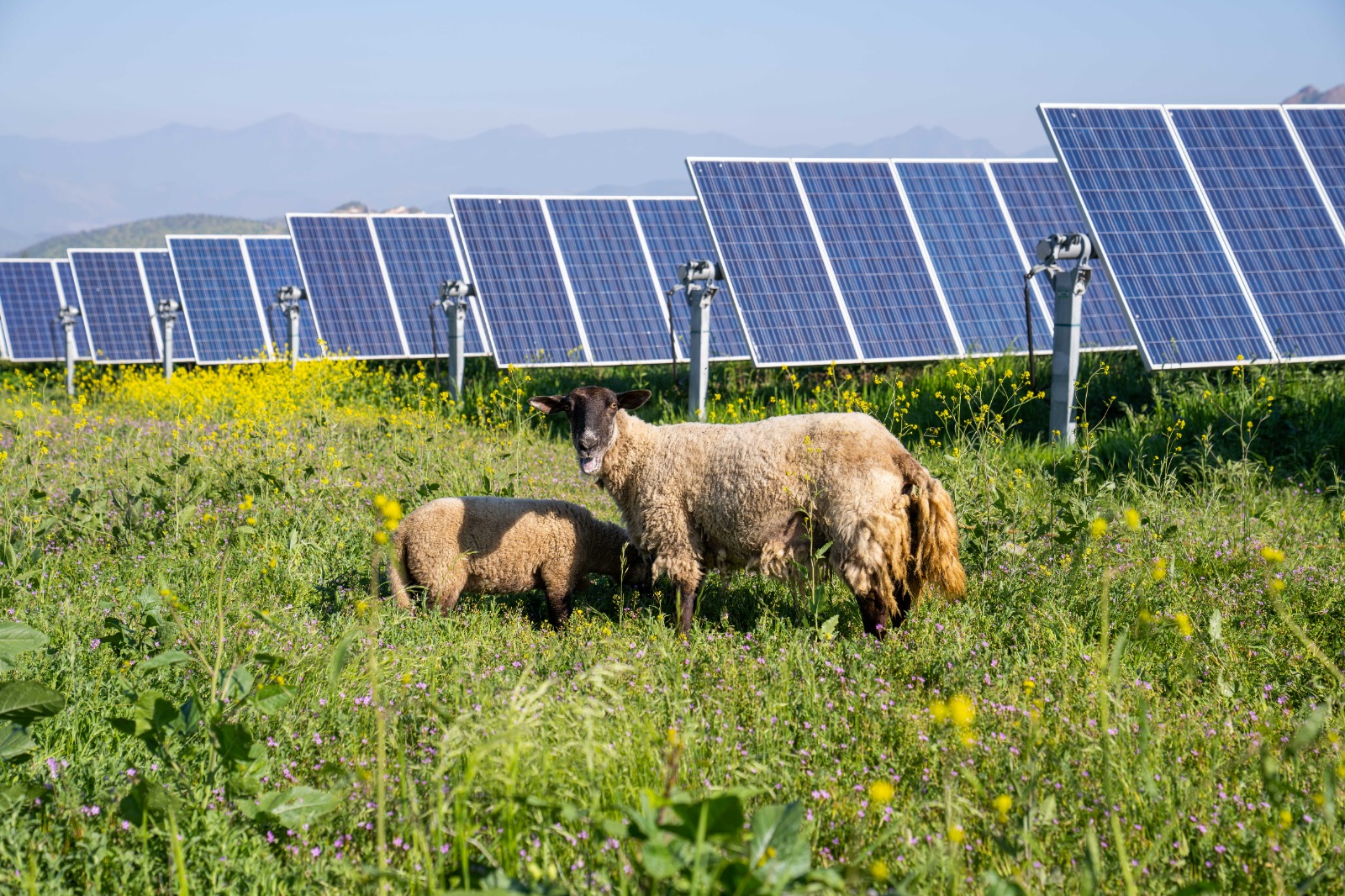 WhatsApp Image 2023 12 19 at 15 11 56