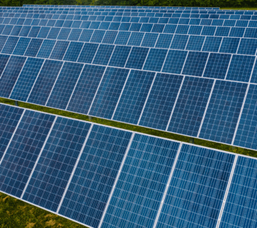 Imagen de apoyo 360x320