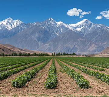 Imagen de Archivo SinCopyright2 360x320